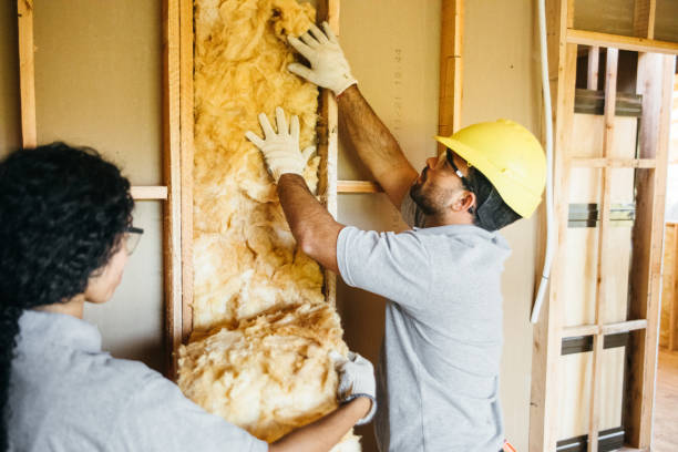 Trusted Lely Resort, FL Insulation Contractor Experts